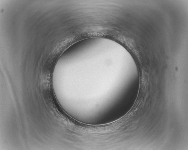 X0000060800017200511141452