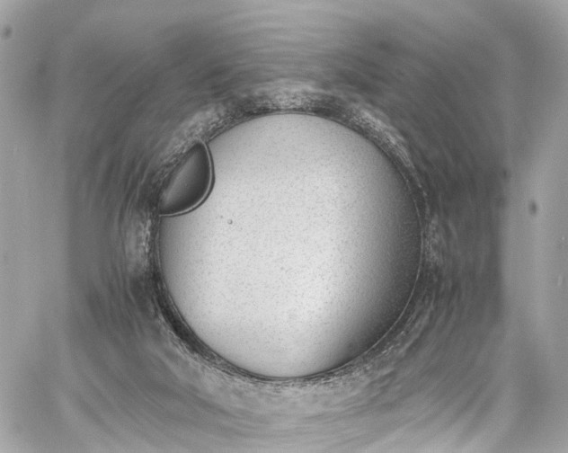 X0000060800018200511141452