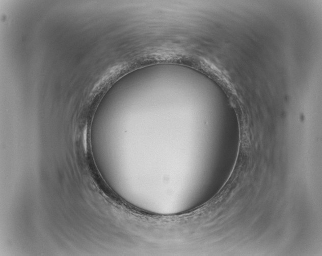 X0000060800019200511141452