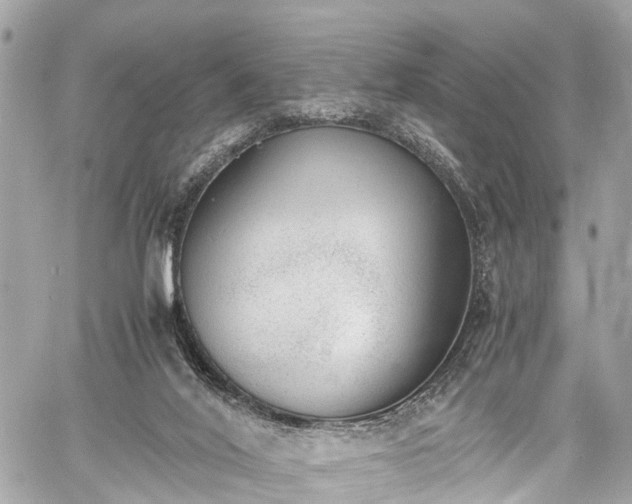 X0000060800020200511141452