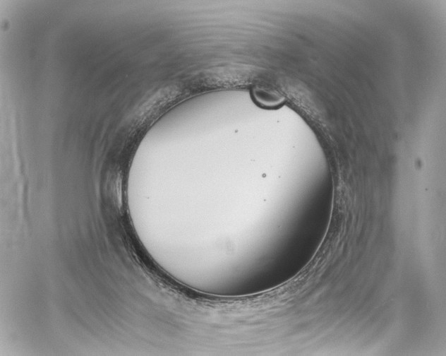 X0000060800021200511141452