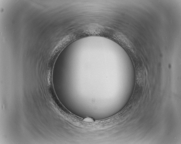 X0000060800023200511141452