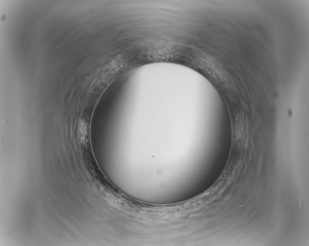 X0000060800025200511141452