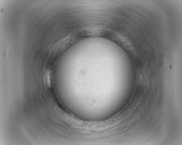 X0000060800026200511141452