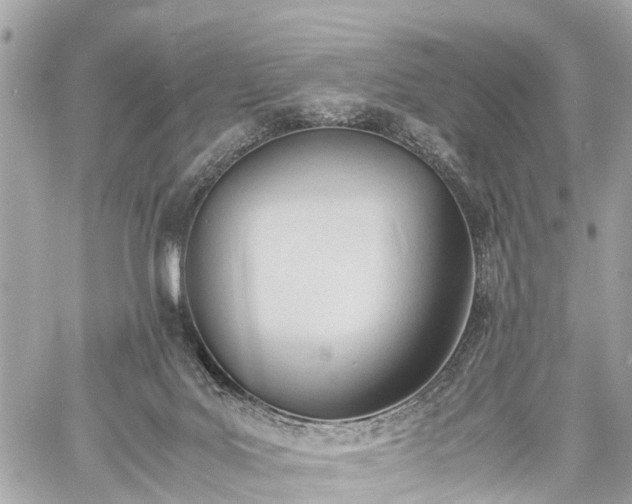 X0000060800027200511141452