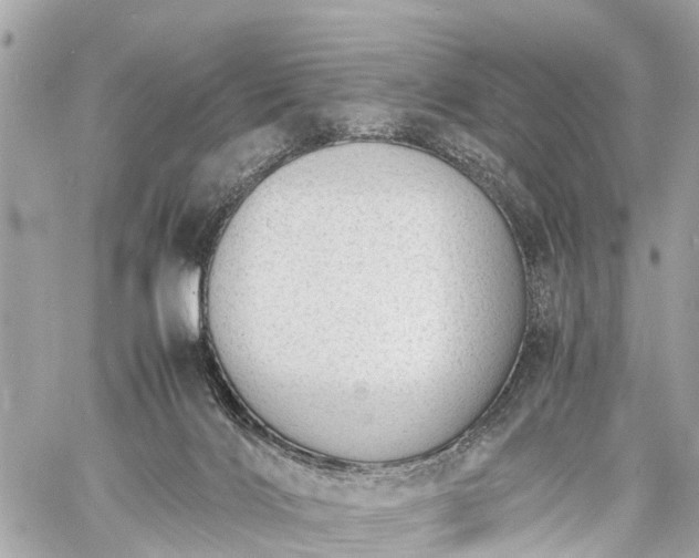 X0000060800028200511141452