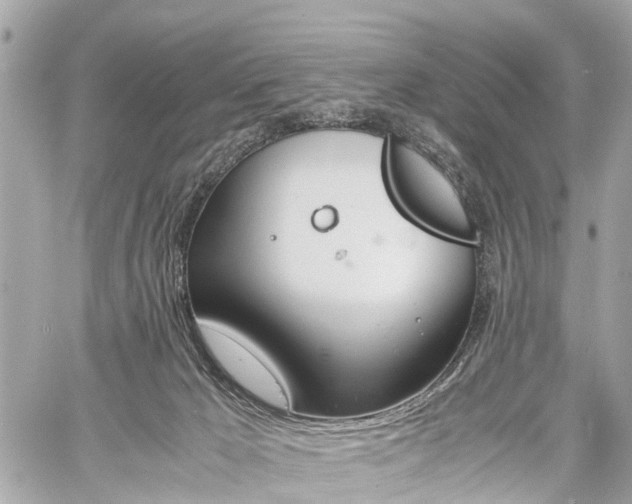 X0000060800029200511141452