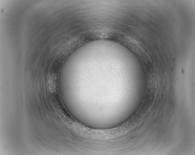 X0000060800030200511141452