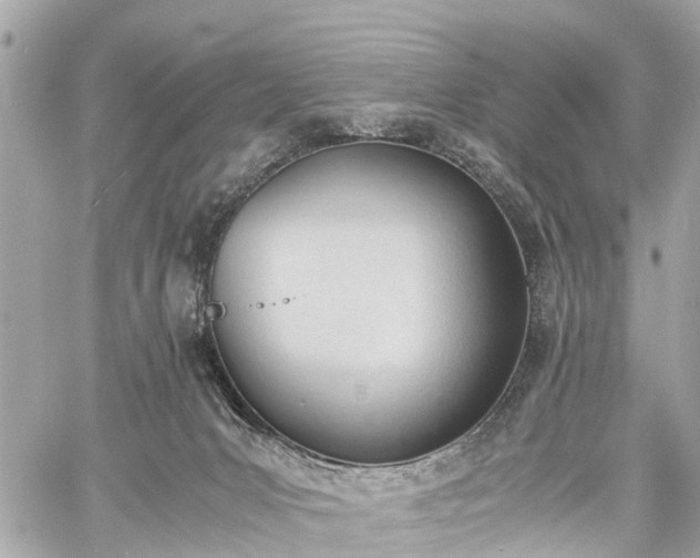 X0000060800031200511141451