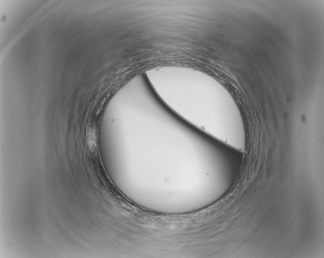 X0000060800033200511141451