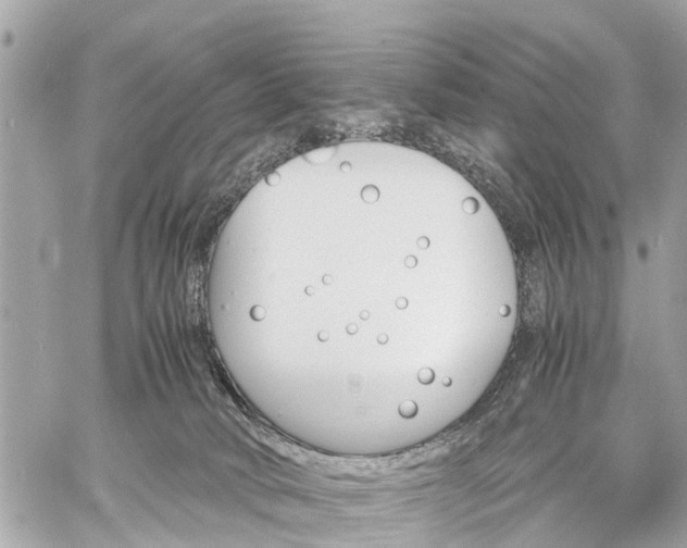 X0000060800034200511141451