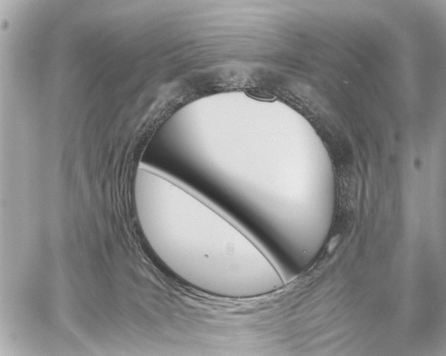 X0000060800035200511141451