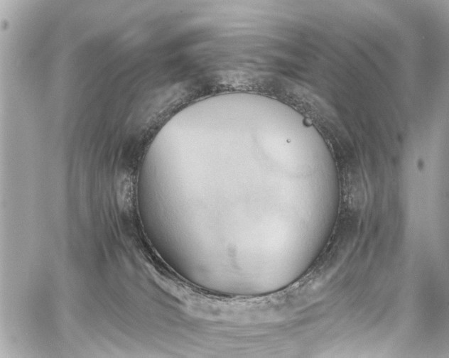 X0000060800036200511141451