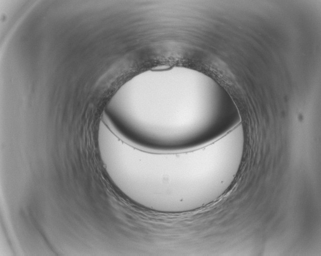 X0000060800037200511141451