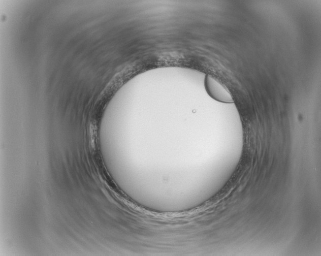 X0000060800038200511141451