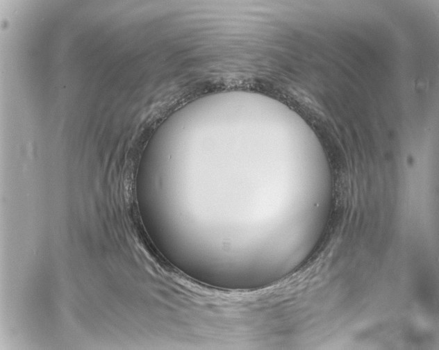 X0000060800039200511141451