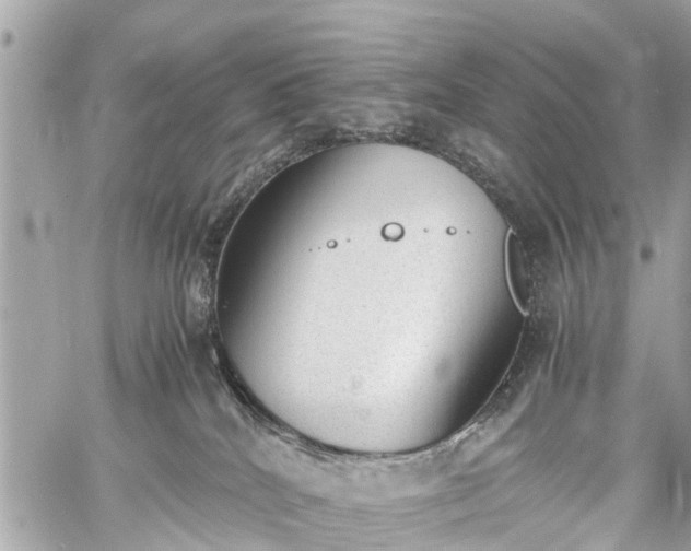 X0000060800040200511141451