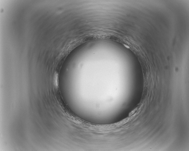 X0000060800041200511141451