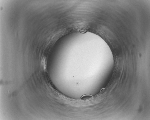 X0000060800042200511141451