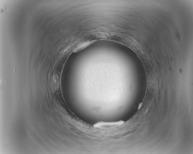 X0000060800043200511141451