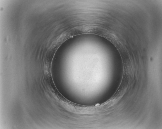 X0000060800044200511141451