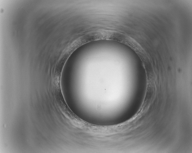 X0000060800045200511141451