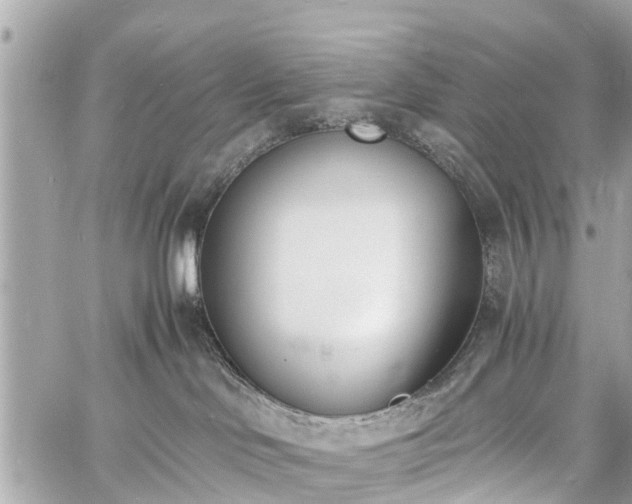 X0000060800046200511141451