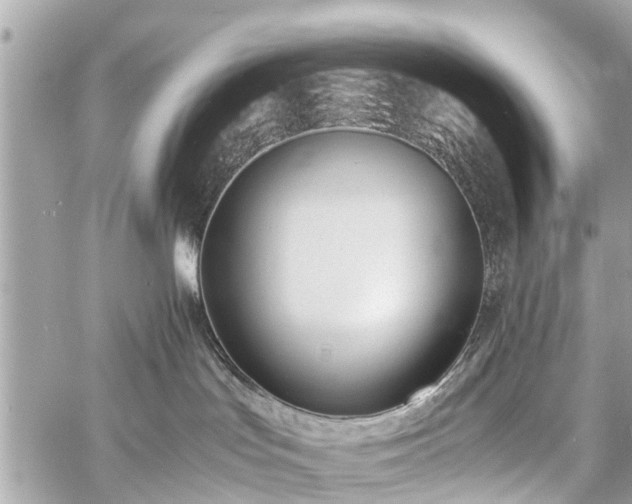 X0000060800047200511141451