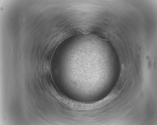 X0000060800048200511141451