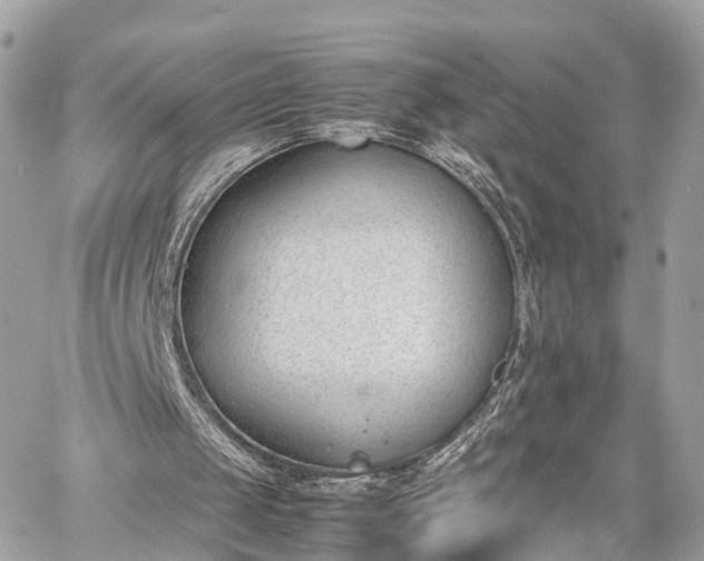 X0000060800049200511141450