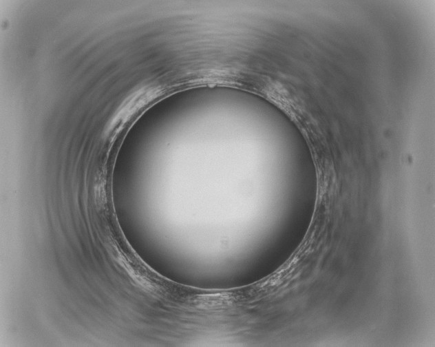 X0000060800050200511141450