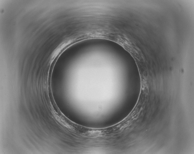 X0000060800052200511141450