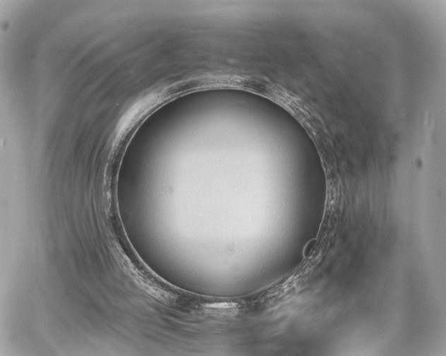 X0000060800053200511141450