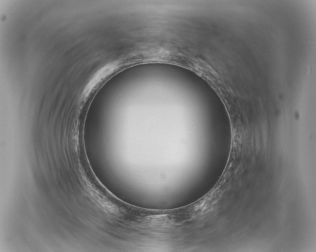 X0000060800054200511141450