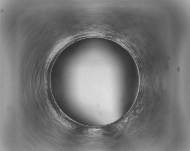 X0000060800055200511141450