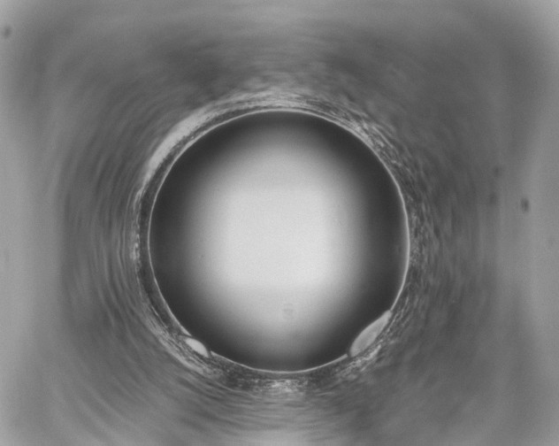 X0000060800056200511141451