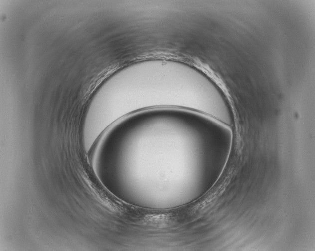 X0000060800057200511141451