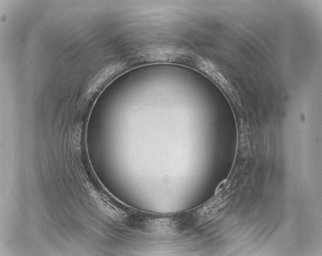 X0000060800058200511141451