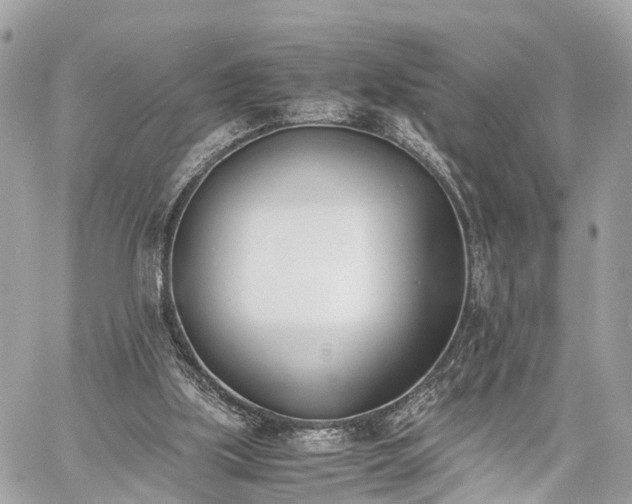 X0000060800059200511141451