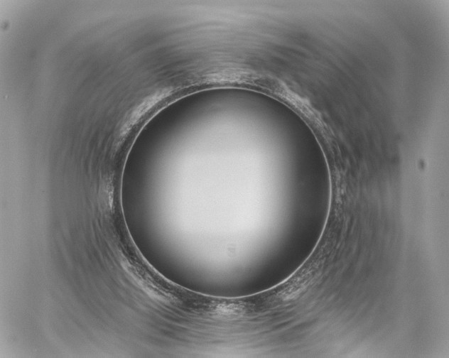 X0000060800060200511141451