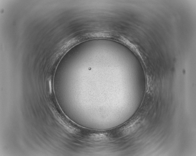 X0000060800061200511141451