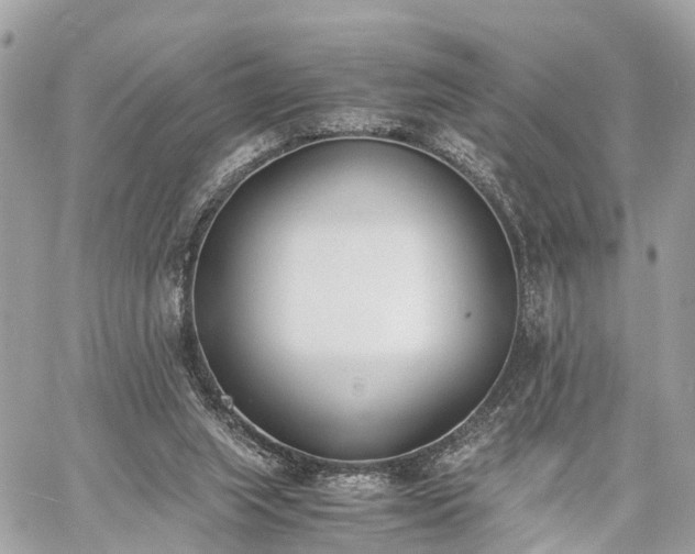 X0000060800063200511141451