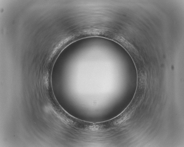 X0000060800064200511141451