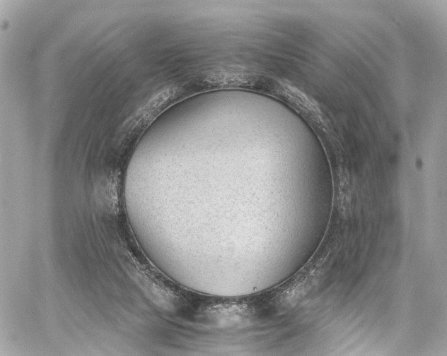 X0000060800065200511141451