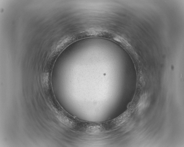 X0000060800066200511141451