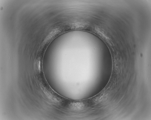 X0000060800067200511141451