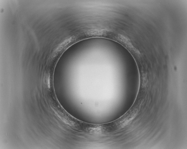 X0000060800068200511141451