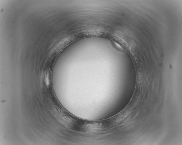 X0000060800069200511141451