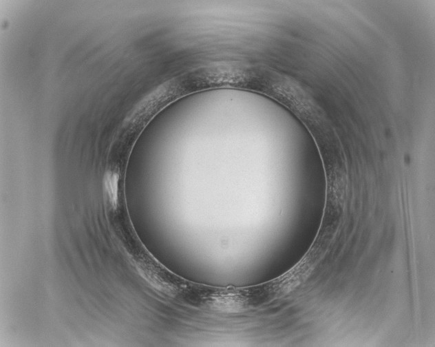 X0000060800070200511141451