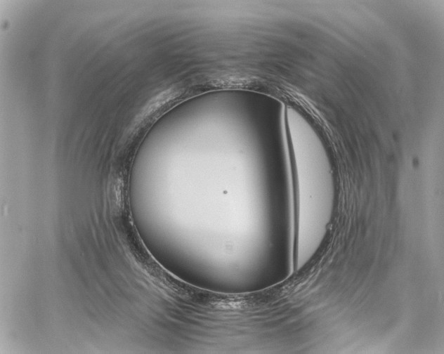 X0000060800071200511141451